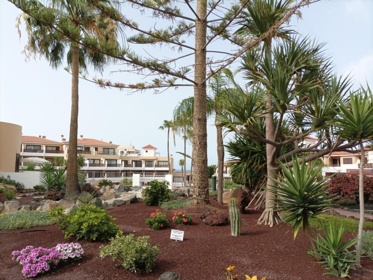 Estudio En Tenerife Con Piscina / Study Flat With Pool Appartement San Miguel de Abona Buitenkant foto